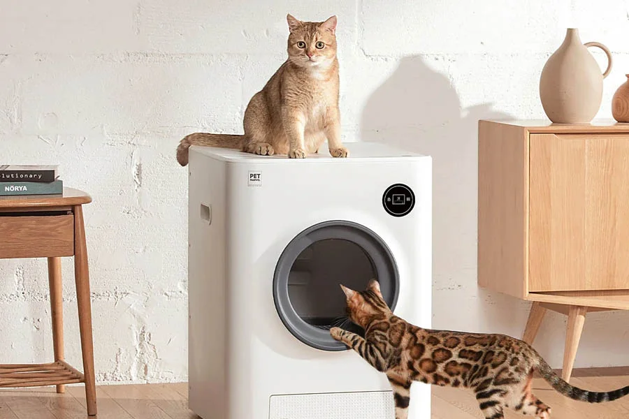 cat auto litter box